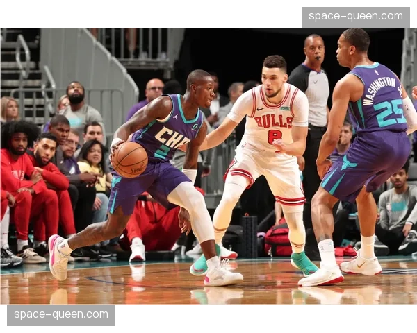 黄蜂球员三球参加完整训练，球队期待其回归改善便秘的进攻转换